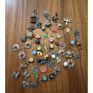 40+ Animal Flower Bead Mixed Media Charms Insects Owls Multicolor